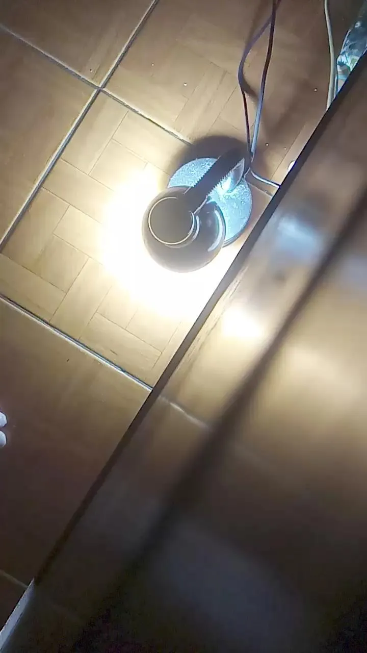 Offline Trecevidasss on Cam4