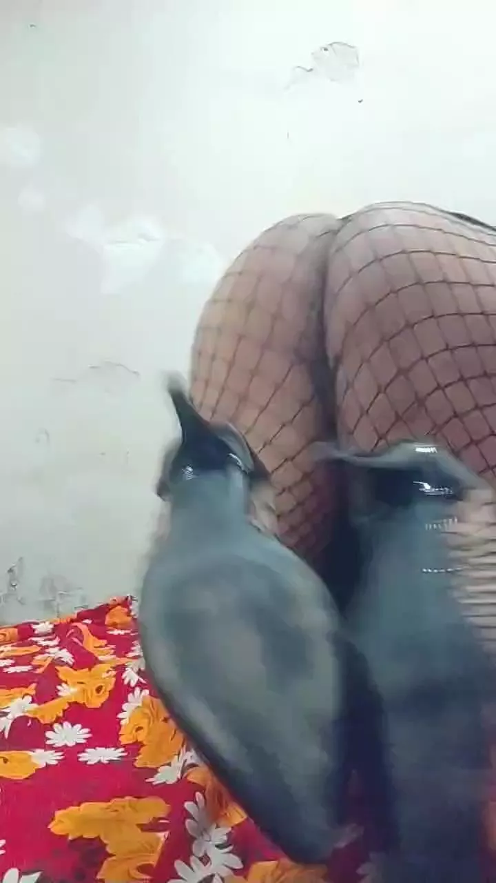 Offline veronikacross on Cam4