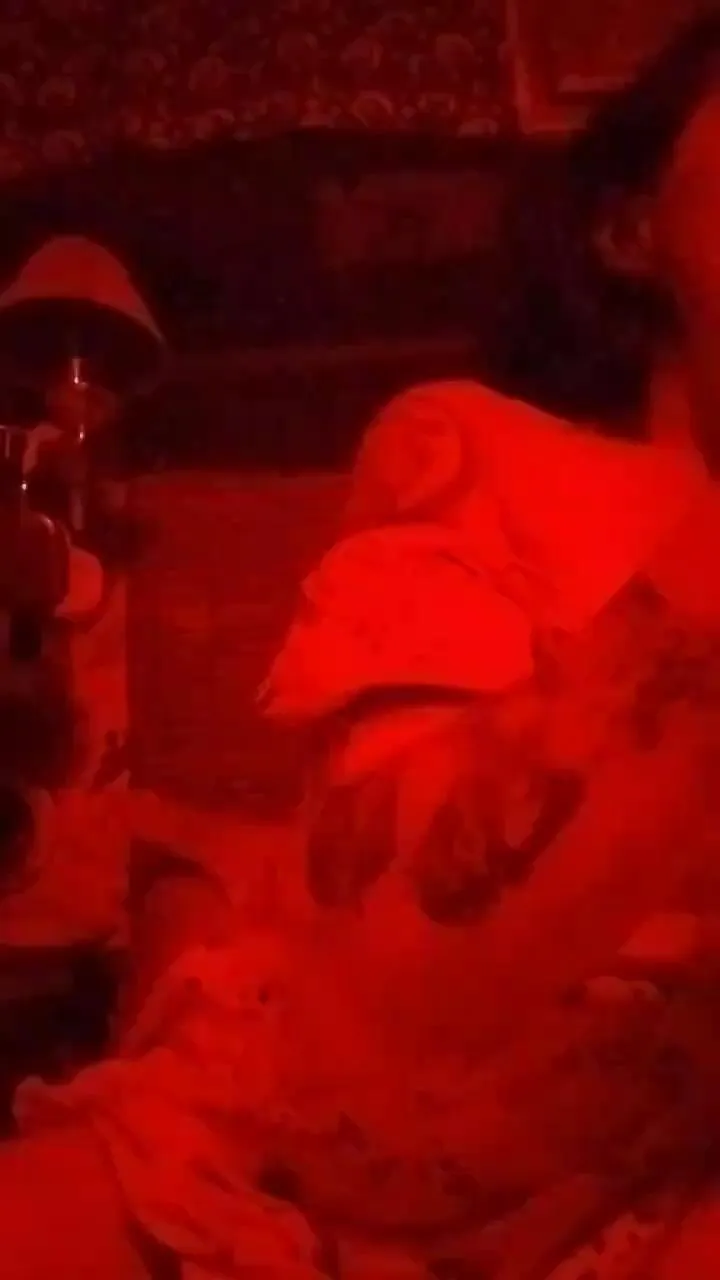 Offline Whitesluttz_liz on Cam4