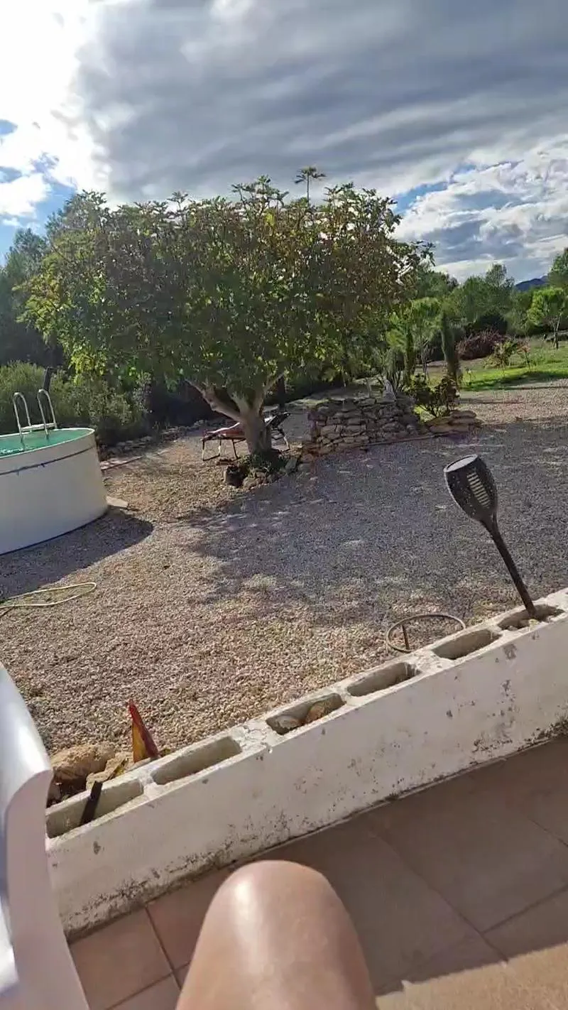 Offline wildkatze2 on Cam4