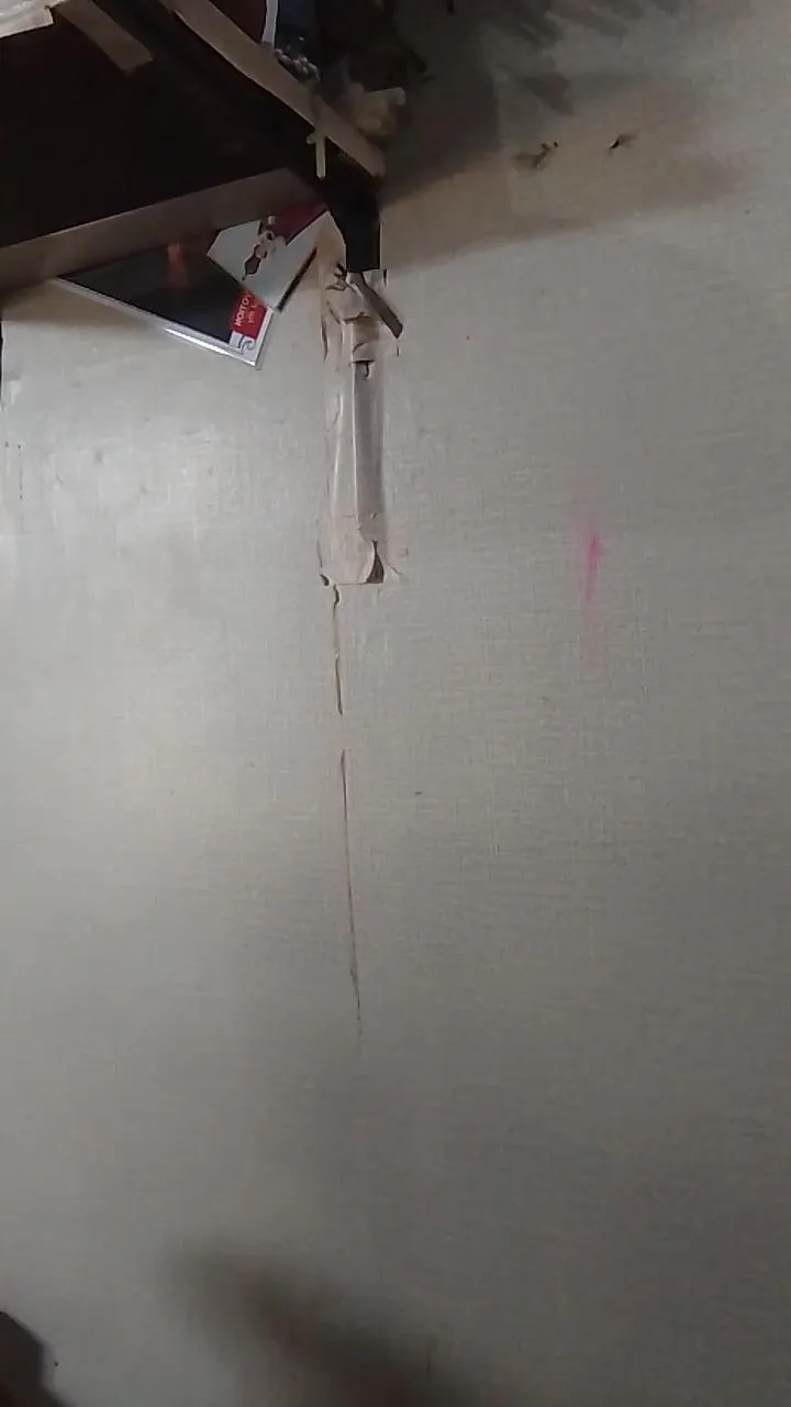 Freechat WildLady on Cam4