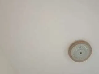 Offline amalarabic on CamSoda