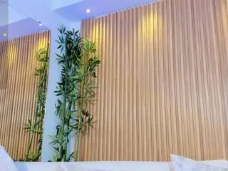 Offline ava-millerr on CamSoda