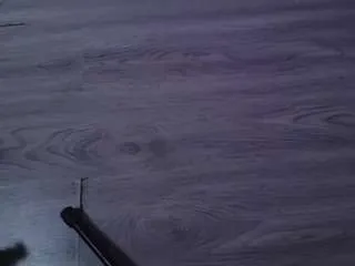 Offline brendaliive on CamSoda