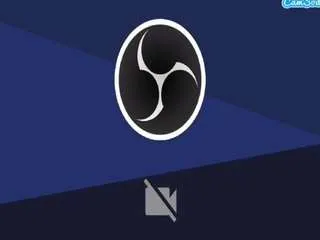 Offline bryttannyjhons on CamSoda