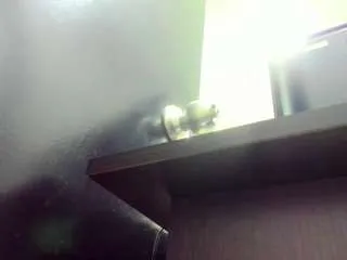 Offline dania-miller on CamSoda