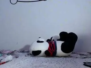 Freechat edwardtrans17 on CamSoda