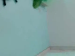 Offline eladyrous98 on CamSoda