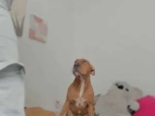 Offline isabelarosee on CamSoda