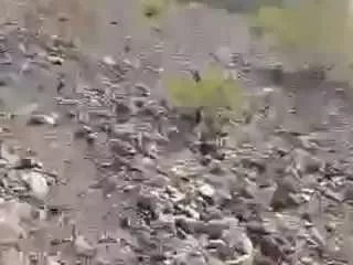 Offline moebootyrayna on CamSoda