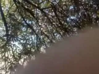 Freechat mrshyboy32 on CamSoda