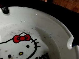 Offline nikkishome on CamSoda