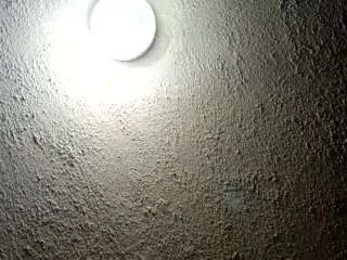 Offline palelaram on CamSoda