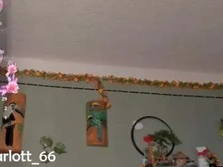 Freechat sharlottsmith on CamSoda