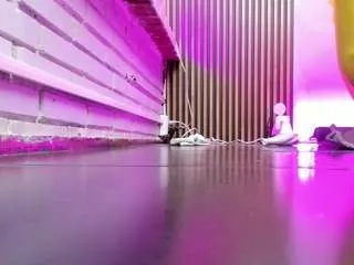 Offline sophia-stuart on CamSoda