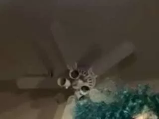 Freechat universethadon on CamSoda