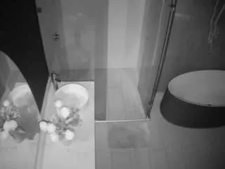 Offline voyeurcam-casa-salsa-bathroom-6 on CamSoda