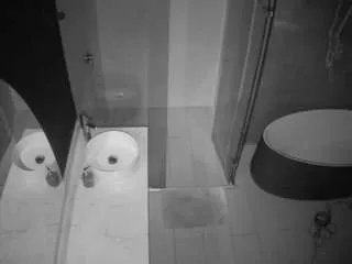 Offline voyeurcam-casa-salsa-bathroom-6 on CamSoda