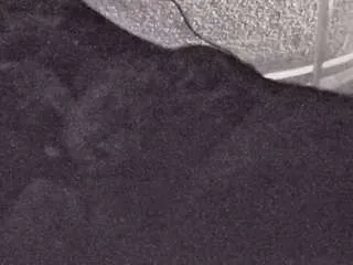 Freechat voyeurcam-casa-salsa-fishtank on CamSoda