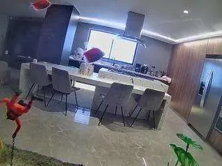 Freechat voyeurcam-casa-salsa-fishtank on CamSoda