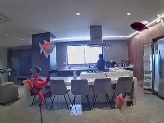 Freechat voyeurcam-casa-salsa-fishtank on CamSoda