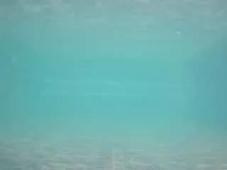 Freechat voyeurcam-casa-salsa-pool-1 on CamSoda