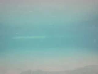 Freechat voyeurcam-casa-salsa-pool-1 on CamSoda