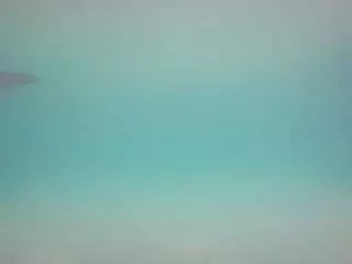 Freechat voyeurcam-casa-salsa-pool-1 on CamSoda