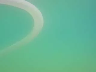 Freechat voyeurcam-casa-salsa-pool-1 on CamSoda