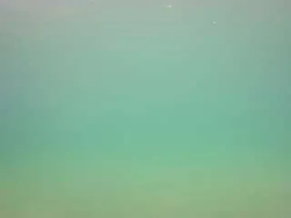 Freechat voyeurcam-casa-salsa-pool-1 on CamSoda