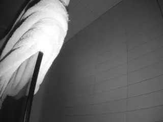 Offline voyeurcam-hazelgrace-01 on CamSoda