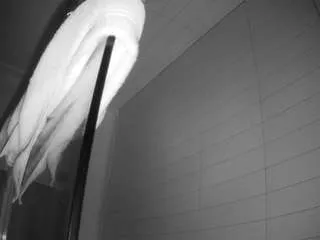 Offline voyeurcam-hazelgrace-01 on CamSoda