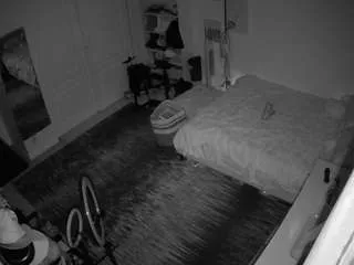 Offline voyeurcam-hornyhostel-02 on CamSoda