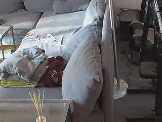 Offline voyeurcam-julmodels-living-1 on CamSoda