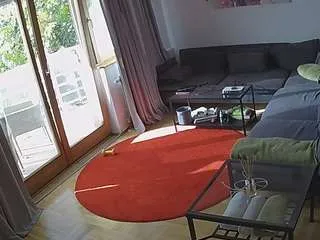 Offline voyeurcam-julmodels-living-1 on CamSoda