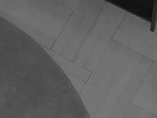 Offline voyeurcam-julmodels-living-7 on CamSoda