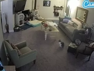 Freechat voyeurcam-missoliviablack-03 on CamSoda