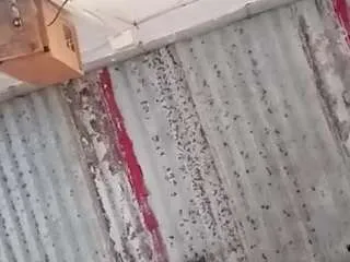 Offline wackyeuphoria on CamSoda