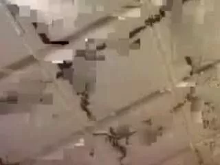 Offline wealthyminepine958 on CamSoda