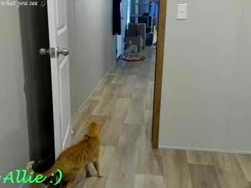allie__kat from Chaturbate