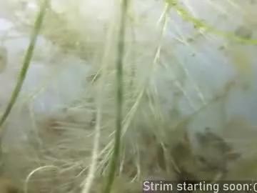 booker_baxton from Chaturbate