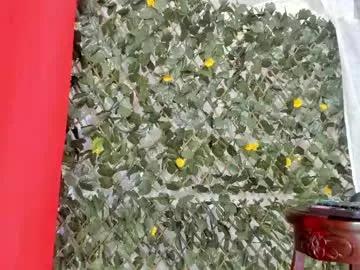 bunnyhots from Chaturbate