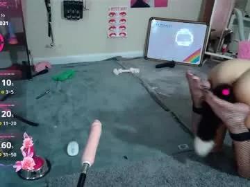 droolybambi from Chaturbate