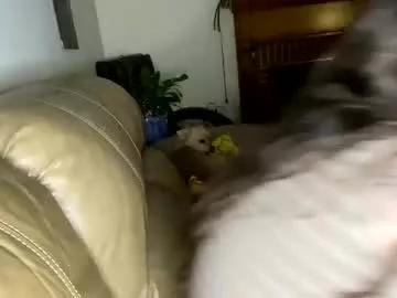 goodgirlcelestecat from Chaturbate