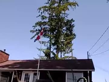 littleleo96 from Chaturbate is Freechat