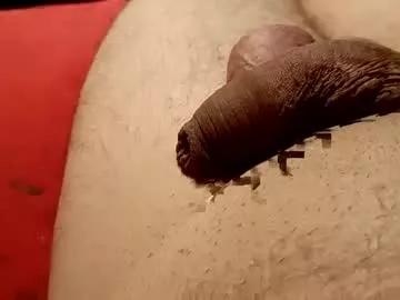 moos1 from Chaturbate