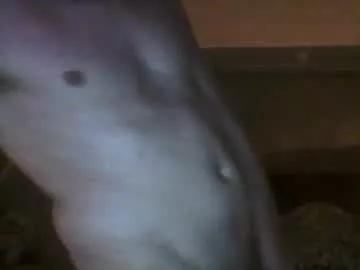 mrtrixterooo from Chaturbate