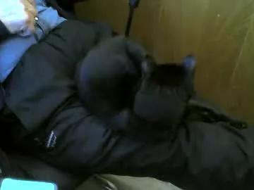 muller520 from Chaturbate