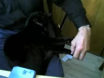 muller520 from Chaturbate