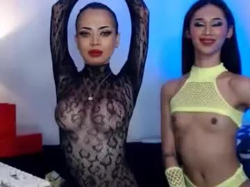 seductive_tsnicole from Chaturbate is Freechat